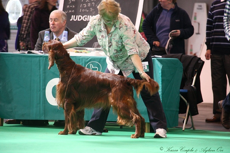 Crufts2011 530.jpg